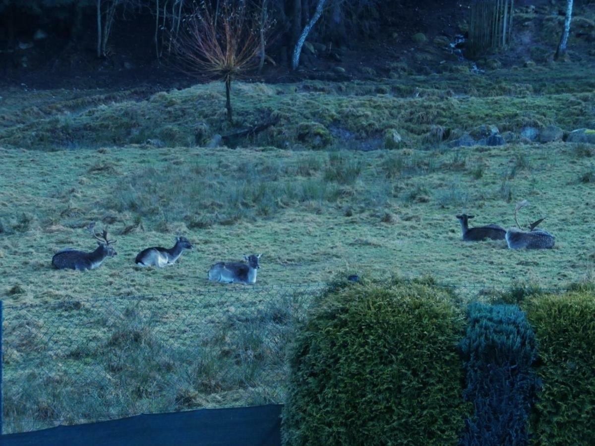 Weineck Lägenhet Nejdek Exteriör bild